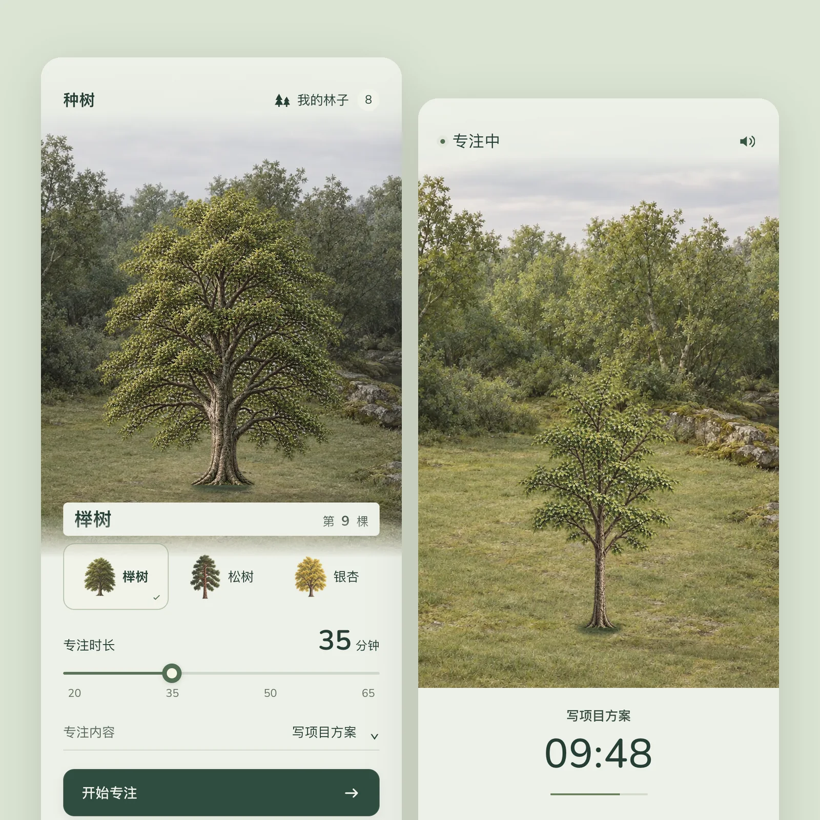 Grove · Focus timer that grows a forest
